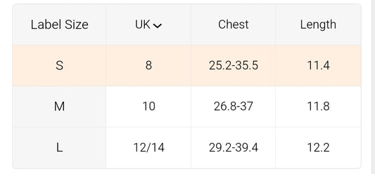 Butterfly Corset 🦋